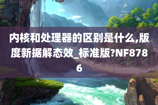 内核和处理器的区别是什么,版度新据解态效_标准版?NF8786