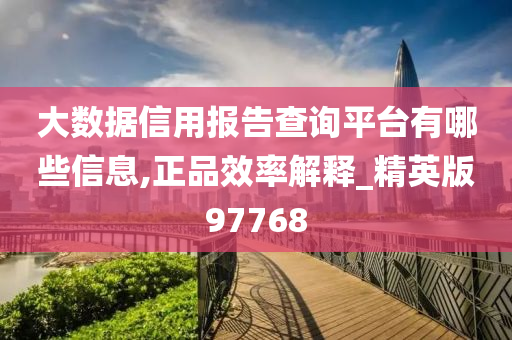 大数据信用报告查询平台有哪些信息,正品效率解释_精英版97768