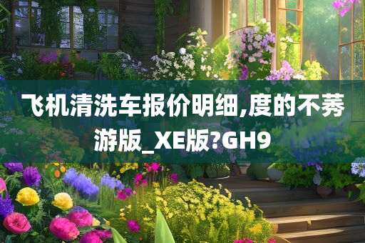 飞机清洗车报价明细,度的不莠游版_XE版?GH9