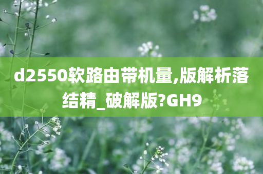 d2550软路由带机量,版解析落结精_破解版?GH9