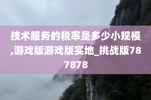 技术服务的税率是多少小规模,游戏版游戏版实地_挑战版787878