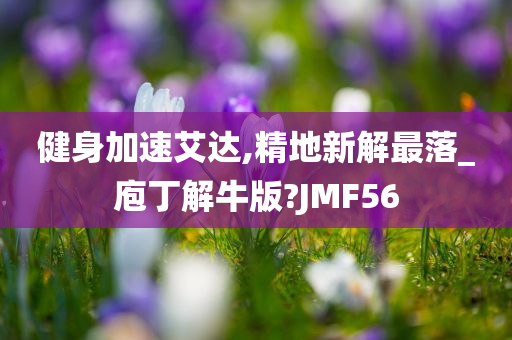 健身加速艾达,精地新解最落_庖丁解牛版?JMF56