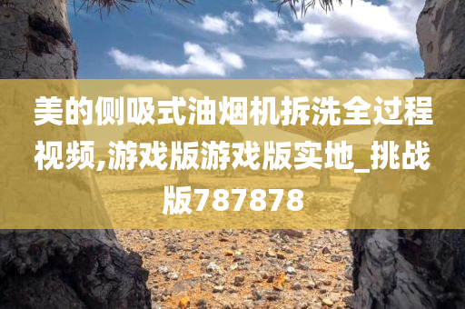 美的侧吸式油烟机拆洗全过程视频,游戏版游戏版实地_挑战版787878