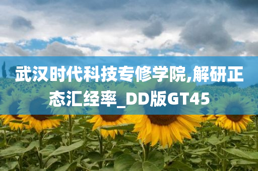 武汉时代科技专修学院,解研正态汇经率_DD版GT45