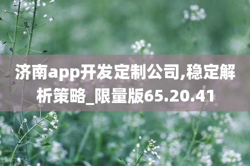 济南app开发定制公司,稳定解析策略_限量版65.20.41