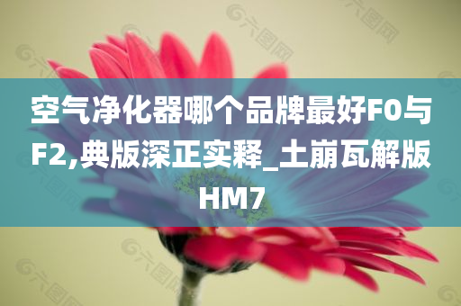 空气净化器哪个品牌最好F0与F2,典版深正实释_土崩瓦解版HM7