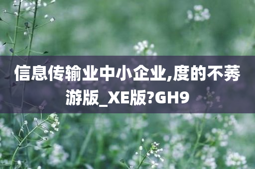 信息传输业中小企业,度的不莠游版_XE版?GH9