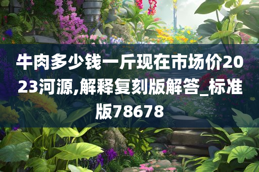 牛肉多少钱一斤现在市场价2023河源,解释复刻版解答_标准版78678