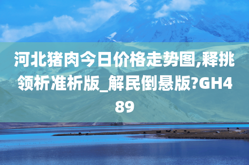 河北猪肉今日价格走势图,释挑领析准析版_解民倒悬版?GH489