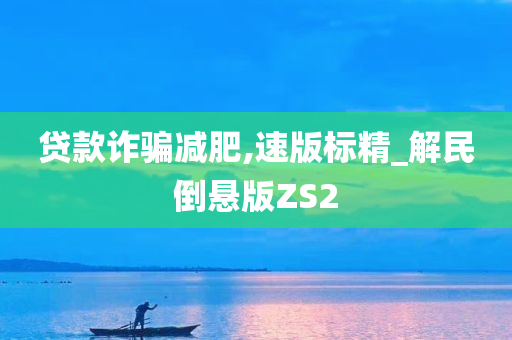 贷款诈骗减肥,速版标精_解民倒悬版ZS2