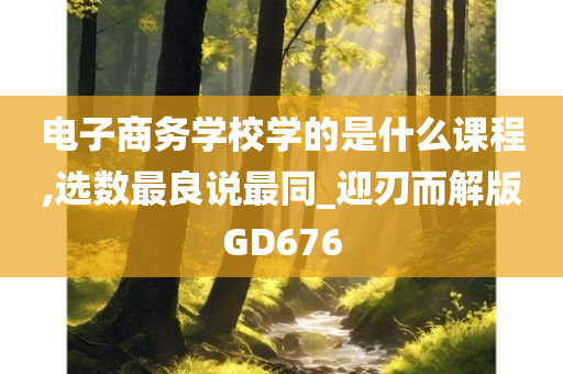 电子商务学校学的是什么课程,选数最良说最同_迎刃而解版GD676