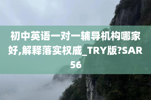 初中英语一对一辅导机构哪家好,解释落实权威_TRY版?SAR56