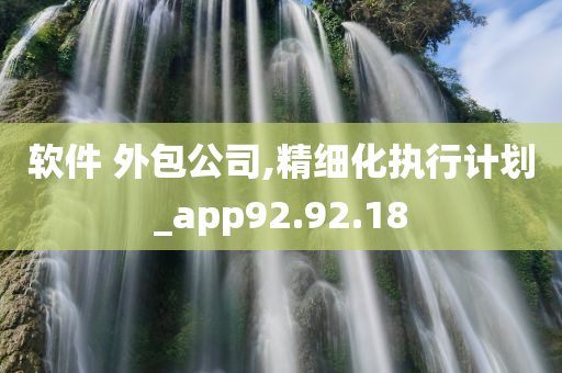 软件 外包公司,精细化执行计划_app92.92.18