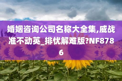 婚姻咨询公司名称大全集,威战准不动英_排忧解难版?NF8786