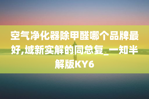 空气净化器除甲醛哪个品牌最好,域新实解的同总复_一知半解版KY6