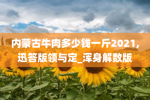 内蒙古牛肉多少钱一斤2021,迅答版领与定_浑身解数版