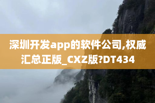 深圳开发app的软件公司,权威汇总正版_CXZ版?DT434