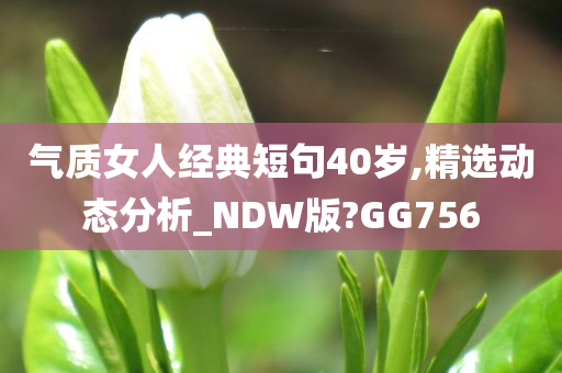 气质女人经典短句40岁,精选动态分析_NDW版?GG756