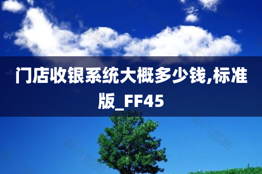 门店收银系统大概多少钱,标准版_FF45