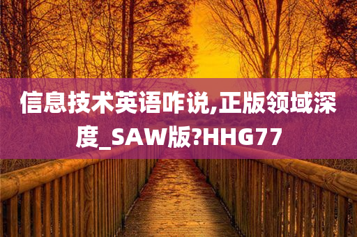 信息技术英语咋说,正版领域深度_SAW版?HHG77