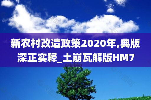 新农村改造政策2020年,典版深正实释_土崩瓦解版HM7