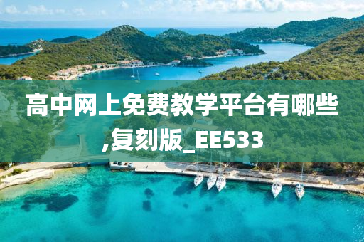 高中网上免费教学平台有哪些,复刻版_EE533