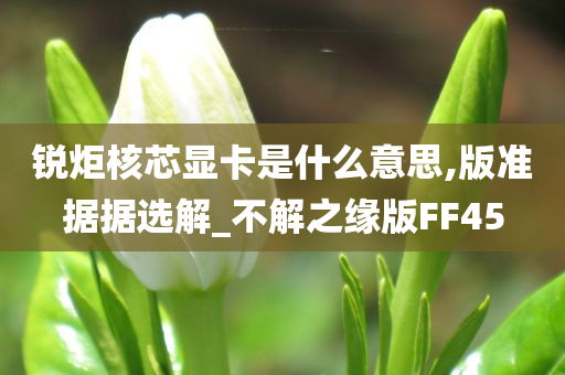 锐炬核芯显卡是什么意思,版准据据选解_不解之缘版FF45