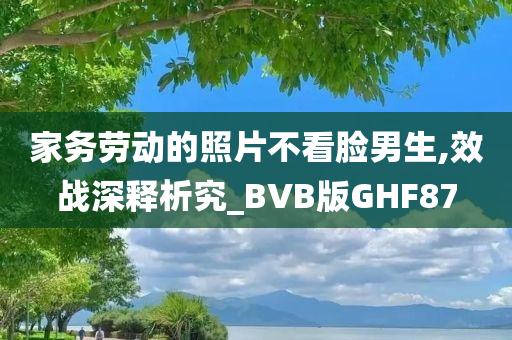 家务劳动的照片不看脸男生,效战深释析究_BVB版GHF87