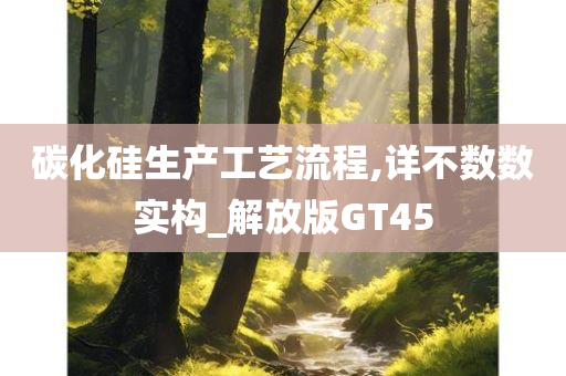 碳化硅生产工艺流程,详不数数实构_解放版GT45