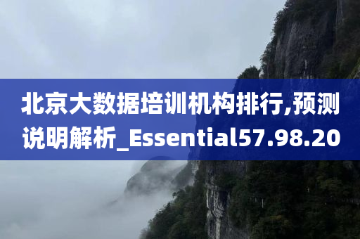 北京大数据培训机构排行,预测说明解析_Essential57.98.20