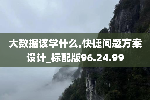 大数据该学什么,快捷问题方案设计_标配版96.24.99