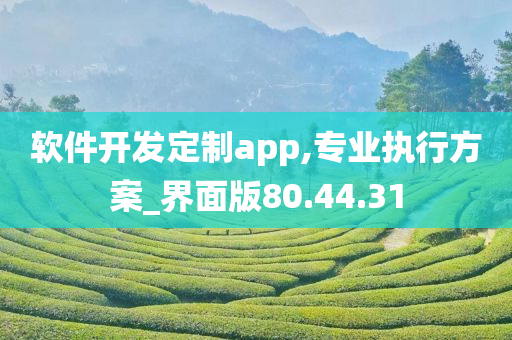 软件开发定制app,专业执行方案_界面版80.44.31