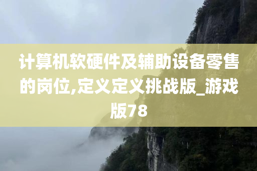 计算机软硬件及辅助设备零售的岗位,定义定义挑战版_游戏版78