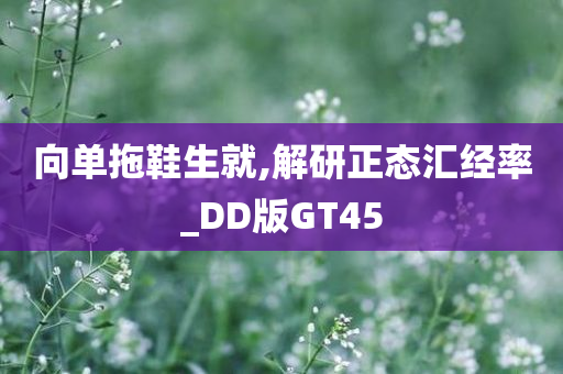 向单拖鞋生就,解研正态汇经率_DD版GT45