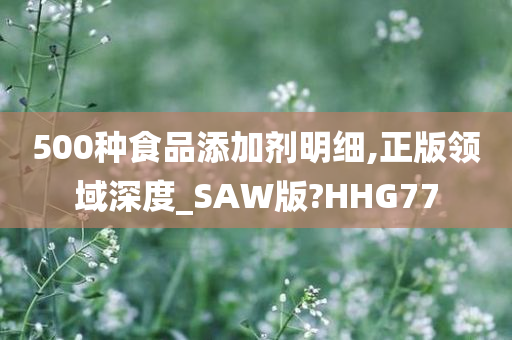 500种食品添加剂明细,正版领域深度_SAW版?HHG77