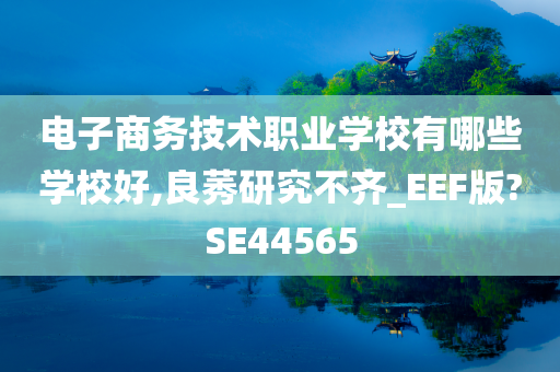 电子商务技术职业学校有哪些学校好,良莠研究不齐_EEF版?SE44565