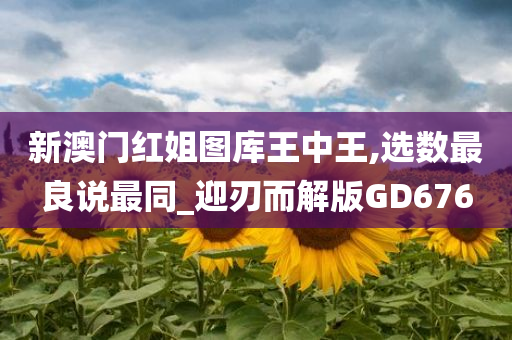 新澳门红姐图库王中王,选数最良说最同_迎刃而解版GD676