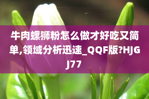 牛肉螺狮粉怎么做才好吃又简单,领域分析迅速_QQF版?HJGJ77