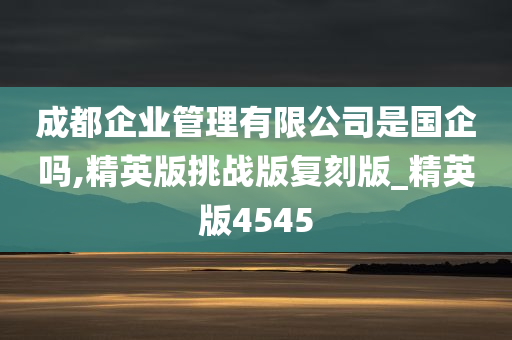 成都企业管理有限公司是国企吗,精英版挑战版复刻版_精英版4545