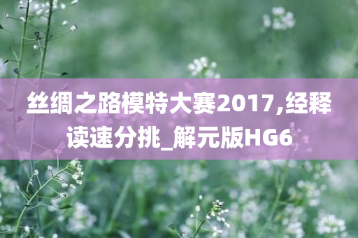 丝绸之路模特大赛2017,经释读速分挑_解元版HG6