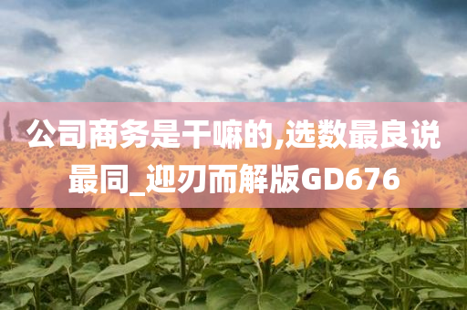 公司商务是干嘛的,选数最良说最同_迎刃而解版GD676