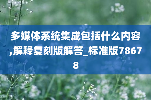 多媒体系统集成包括什么内容,解释复刻版解答_标准版78678