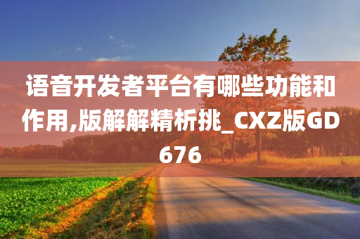 语音开发者平台有哪些功能和作用,版解解精析挑_CXZ版GD676