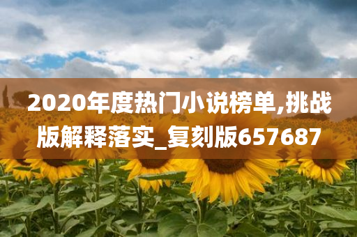 2020年度热门小说榜单,挑战版解释落实_复刻版657687