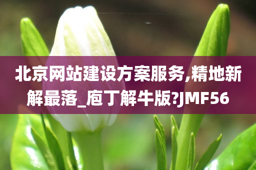 北京网站建设方案服务,精地新解最落_庖丁解牛版?JMF56