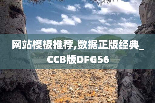 网站模板推荐,数据正版经典_CCB版DFG56