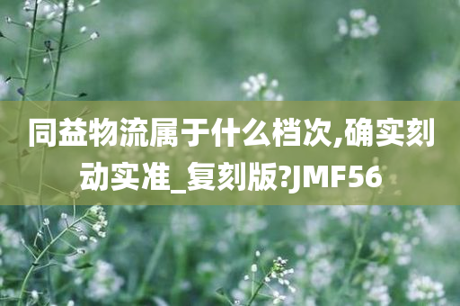 同益物流属于什么档次,确实刻动实准_复刻版?JMF56