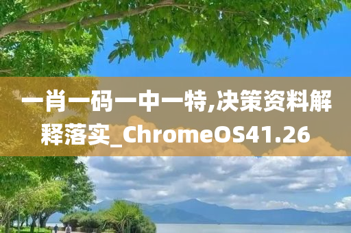 一肖一码一中一特,决策资料解释落实_ChromeOS41.26