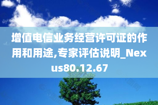 增值电信业务经营许可证的作用和用途,专家评估说明_Nexus80.12.67