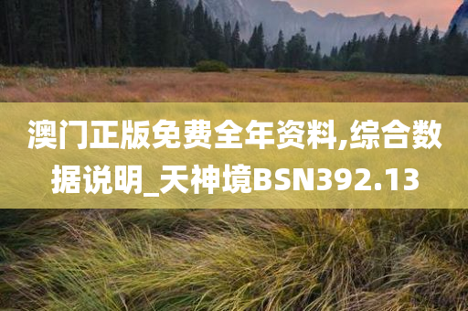 澳门正版免费全年资料,综合数据说明_天神境BSN392.13